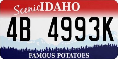 ID license plate 4B4993K