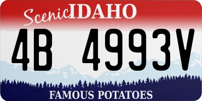 ID license plate 4B4993V