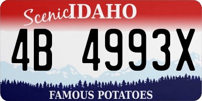 ID license plate 4B4993X