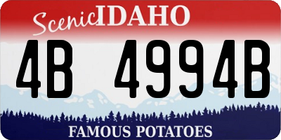 ID license plate 4B4994B