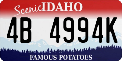ID license plate 4B4994K