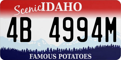 ID license plate 4B4994M