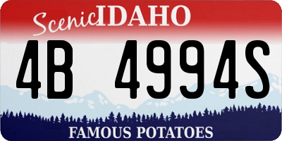 ID license plate 4B4994S