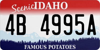 ID license plate 4B4995A