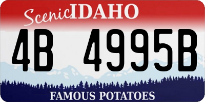 ID license plate 4B4995B