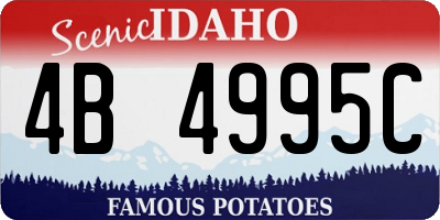 ID license plate 4B4995C