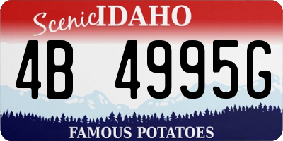 ID license plate 4B4995G