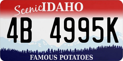 ID license plate 4B4995K