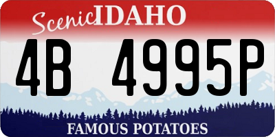 ID license plate 4B4995P