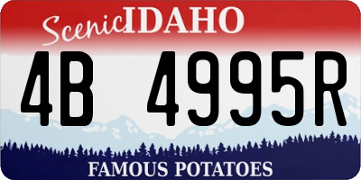 ID license plate 4B4995R