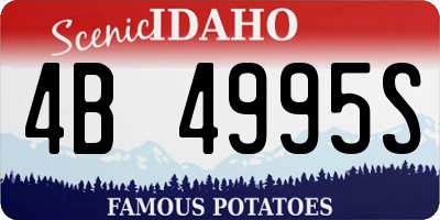 ID license plate 4B4995S