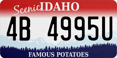 ID license plate 4B4995U