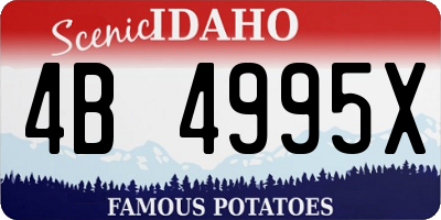 ID license plate 4B4995X