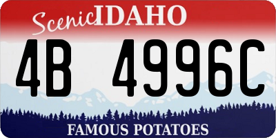 ID license plate 4B4996C