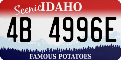 ID license plate 4B4996E