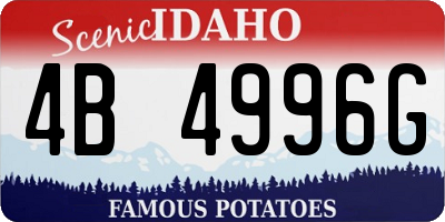 ID license plate 4B4996G
