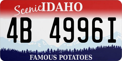 ID license plate 4B4996I