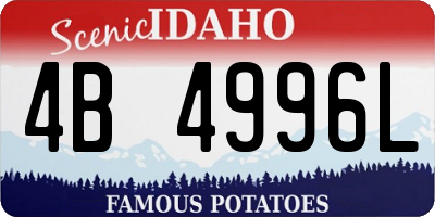 ID license plate 4B4996L