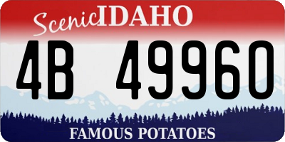 ID license plate 4B4996O