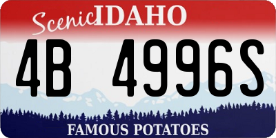 ID license plate 4B4996S