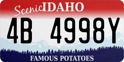 ID license plate 4B4998Y