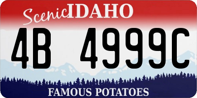 ID license plate 4B4999C
