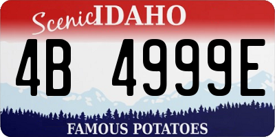 ID license plate 4B4999E