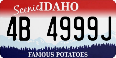 ID license plate 4B4999J