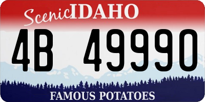 ID license plate 4B4999O