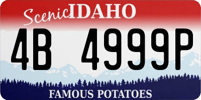 ID license plate 4B4999P