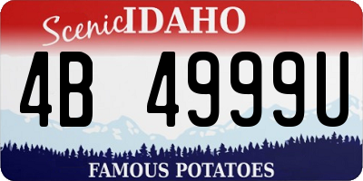 ID license plate 4B4999U