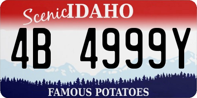 ID license plate 4B4999Y
