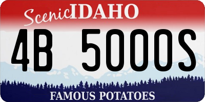 ID license plate 4B5000S