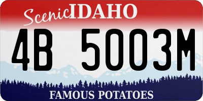 ID license plate 4B5003M