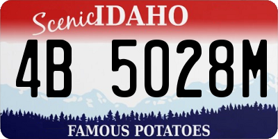 ID license plate 4B5028M