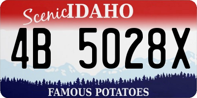 ID license plate 4B5028X