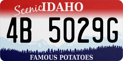 ID license plate 4B5029G