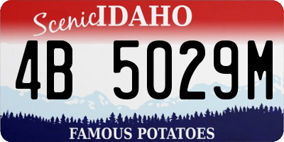 ID license plate 4B5029M