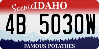 ID license plate 4B5030W