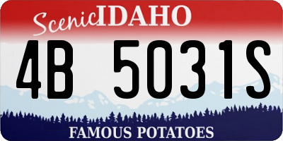 ID license plate 4B5031S