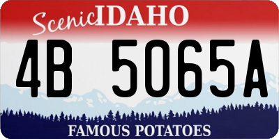 ID license plate 4B5065A