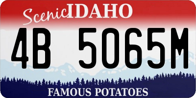 ID license plate 4B5065M