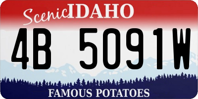 ID license plate 4B5091W