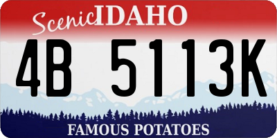 ID license plate 4B5113K