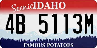 ID license plate 4B5113M