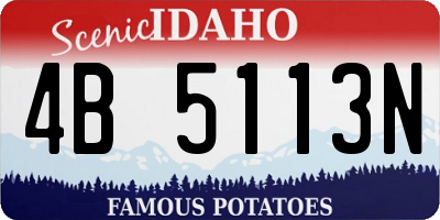 ID license plate 4B5113N