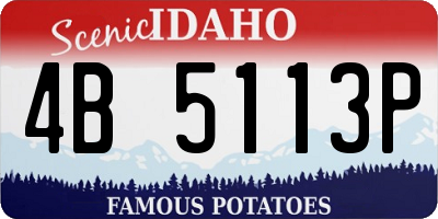 ID license plate 4B5113P