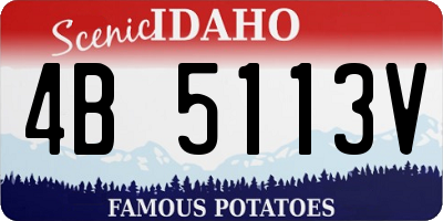 ID license plate 4B5113V