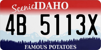 ID license plate 4B5113X