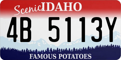 ID license plate 4B5113Y